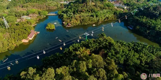 2017七夕節全家出游  看看長隆親子攻略