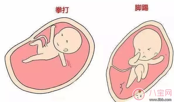 飯點吃飯的時候寶寶胎動的厲害 寶寶胎動的意思還有哪些 飯點吃飯的時候寶寶胎動的厲害 寶寶胎動的意思還有哪些