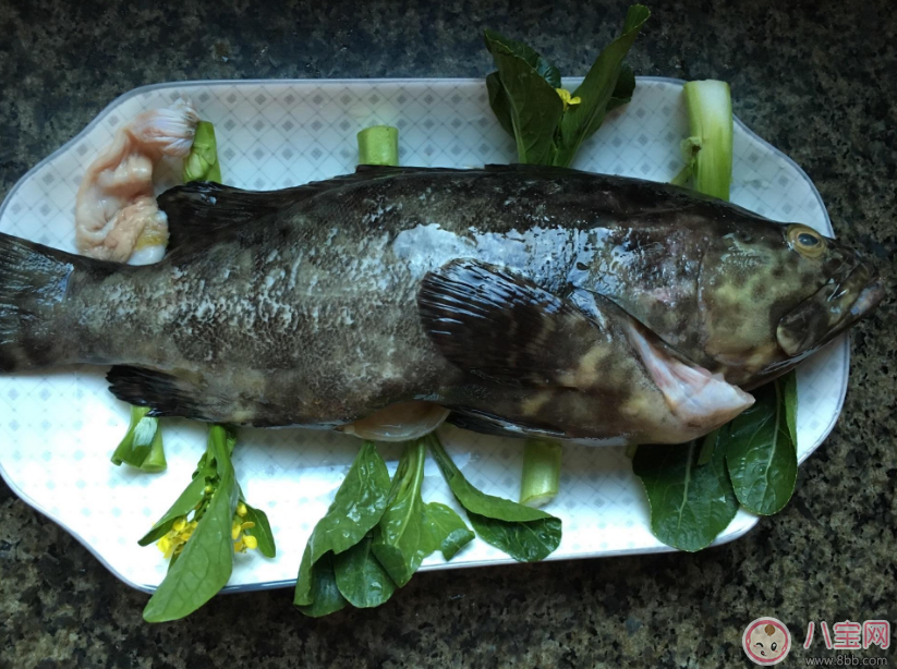 寶寶吃魚變聰明 怎么給寶寶吃魚 寶寶吃魚變聰明 怎么給寶寶吃魚