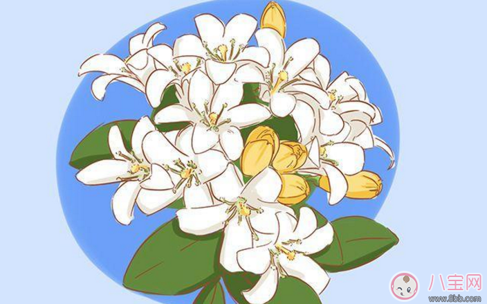 探望寶寶的送什么好 送孩子?xùn)|西這些要避開(kāi) 探望寶寶的送什么好 送孩子?xùn)|西這些要避開(kāi)