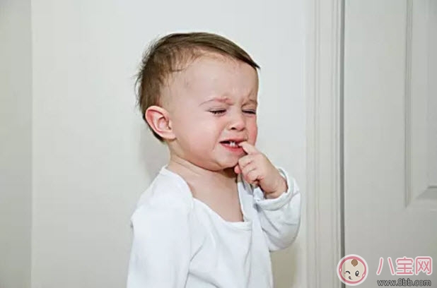 寶寶的六齡齒會換掉嗎 寶寶乳牙里的六齡牙終生不換 寶寶的六齡齒會換掉嗎 寶寶乳牙里的六齡牙終生不換