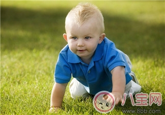 嬰幼兒爬行期 發展感知能力 嬰幼兒爬行期 發展感知能力
