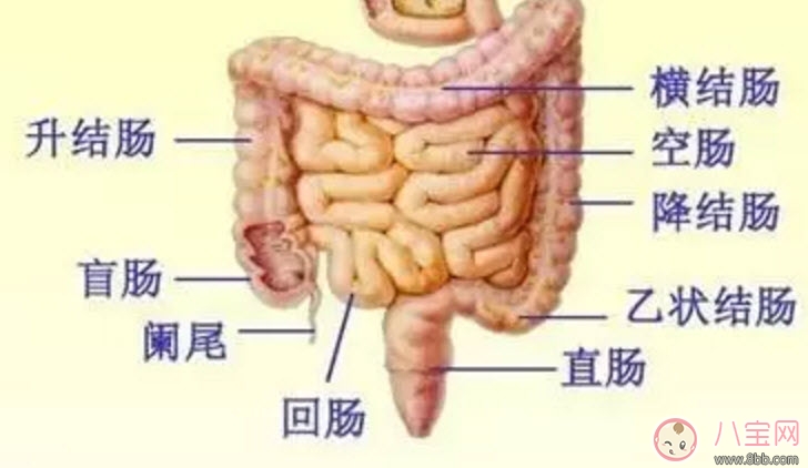 寶寶腸脹氣的癥狀有哪些 怎么緩解寶寶腸脹氣
