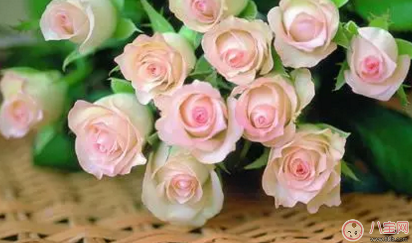 2017七夕節應該送老婆什么禮物最有心？