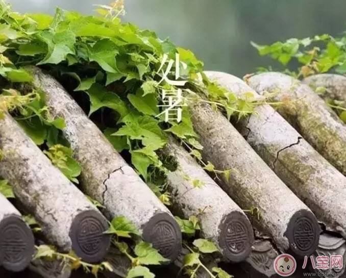 處暑養生吃什么處暑養生食譜 處暑養生短信祝福語 處暑養生吃什么處暑養生食譜 處暑養生短信祝福語