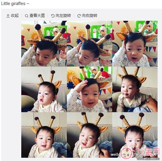 陳冠希現身日本變曬娃狂魔 給孩子拍照怎么拍好 陳冠希現身日本變曬娃狂魔 給孩子拍照怎么拍好