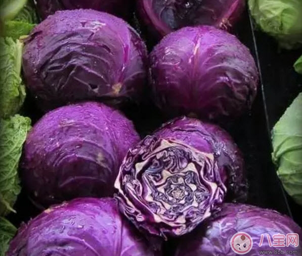 紫包菜孕婦可以生吃涼拌吃嗎 適合孕婦吃的紫甘藍涼拌菜有哪些 紫包菜孕婦可以生吃涼拌吃嗎 適合孕婦吃的紫甘藍涼拌菜有哪些