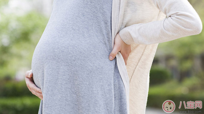 懷孕媽媽應該補充的五種營養元素 懷孕媽媽應該補充的五種營養元素