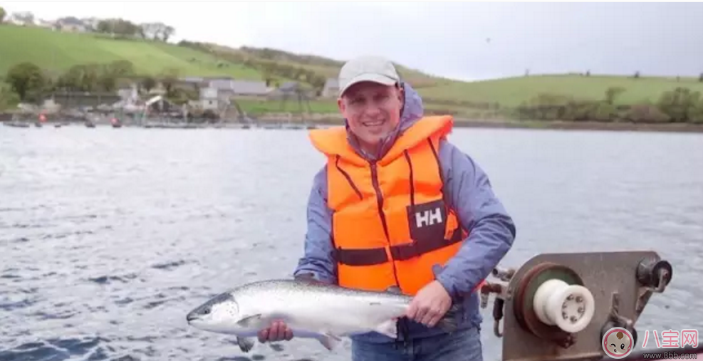 范瑋琪的寶寶也在吃 小皮輔食寶寶口糧必囤