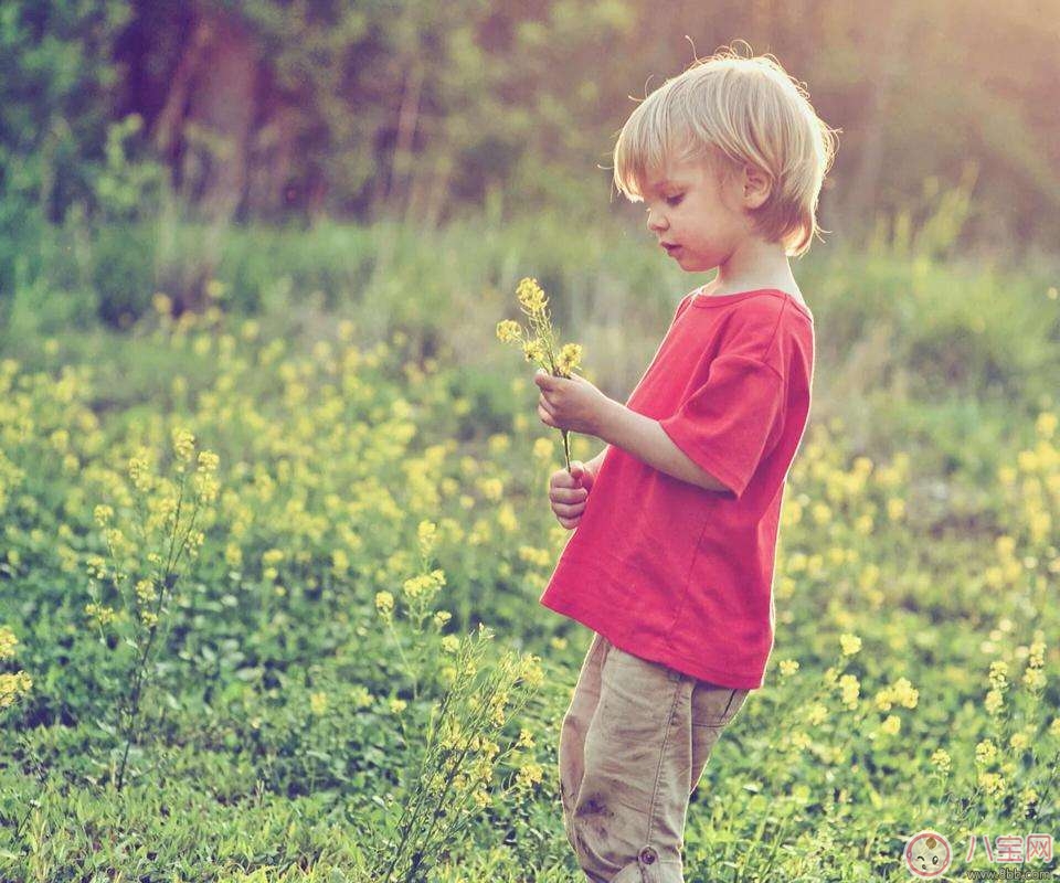 如何教育孩子獨(dú)立和自信 培養(yǎng)孩子堅(jiān)強(qiáng)性格