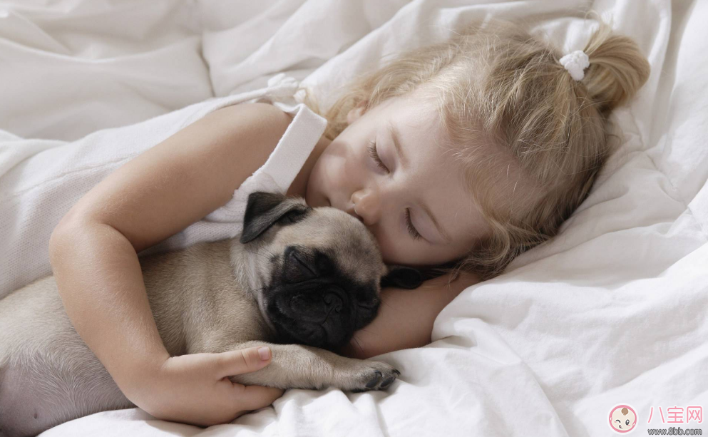 家中養(yǎng)寵物怎么和孩子和諧相處 寵物與寶寶相處法則 家中養(yǎng)寵物怎么和孩子和諧相處 寵物與寶寶相處法則