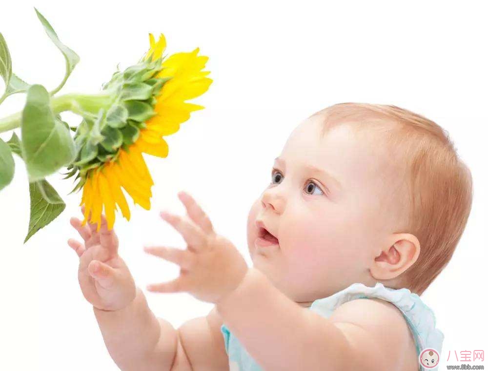 寶寶頭痛的原因 寶寶頭痛的處理方法 寶寶頭痛的原因 寶寶頭痛的處理方法