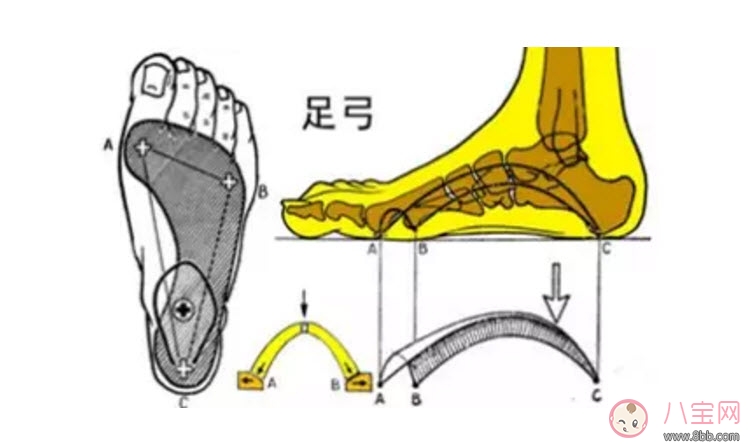 秋天寶寶熱水泡腳好嗎 寶寶熱水泡腳會(huì)變成扁平足