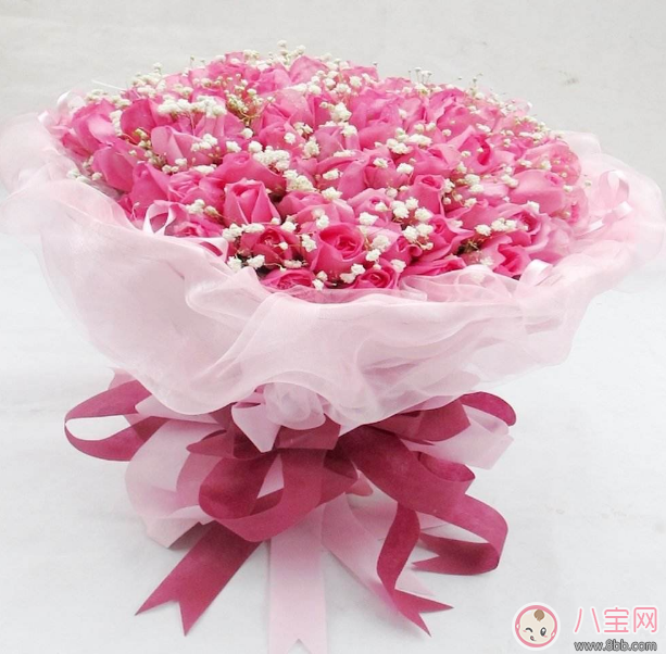 教師節送花只知道康乃馨怎么行 2017最適合送老師花推薦 教師節送花只知道康乃馨怎么行 2017最適合送老師花推薦