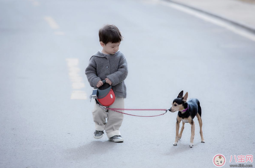 孩子頭發黃怎么辦 如何改善孩子頭發黃