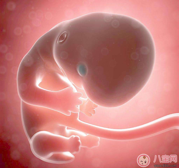 懷孕不想被側切怎么辦 不想側切準備工作