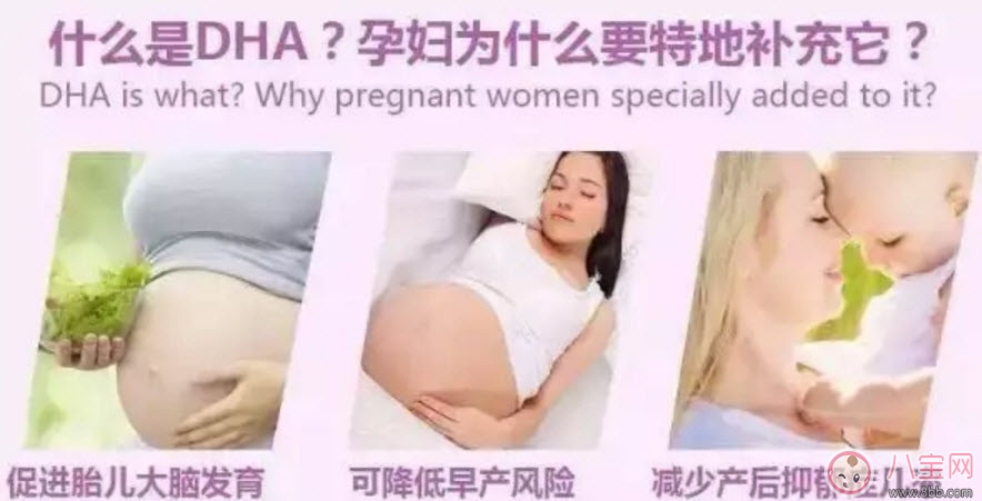 孕婦有必要補充dha嗎 孕婦怎么補充dha