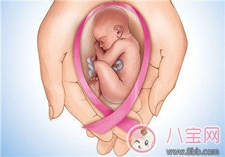 備孕首先應(yīng)該了解什么?宮頸黏液和排卵期是什么? 備孕首先應(yīng)該了解什么?宮頸黏液和排卵期是什么?