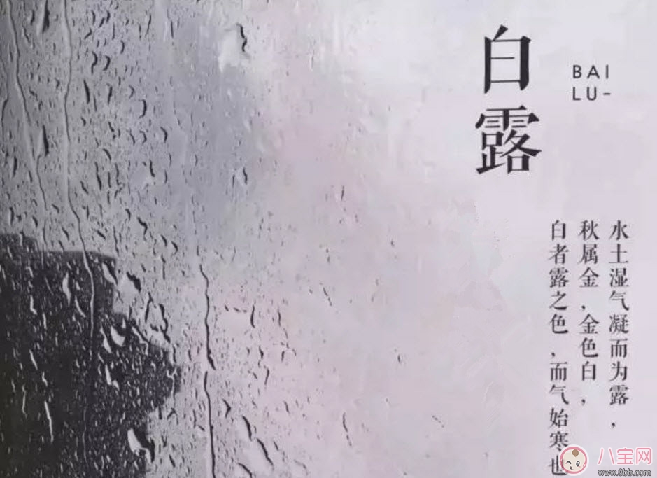 白露節氣怎么養生 白露時節有哪些飲食的禁忌