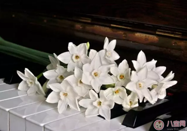 家長如何辨別培訓(xùn)班師資造假 如何正確的選擇培訓(xùn)班