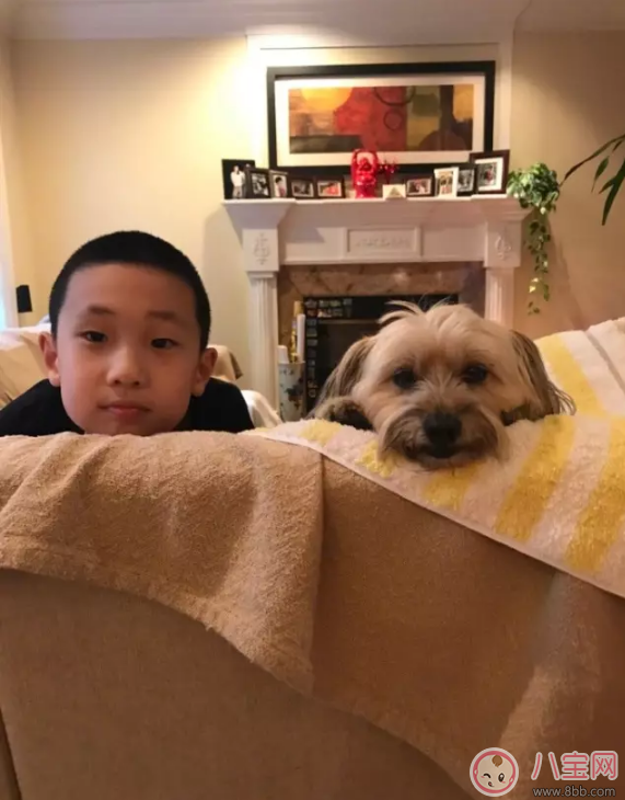 爸爸去哪兒第五季開播 前4季萌寶們有什么變化! 爸爸去哪兒第五季開播 前4季萌寶們有什么變化!