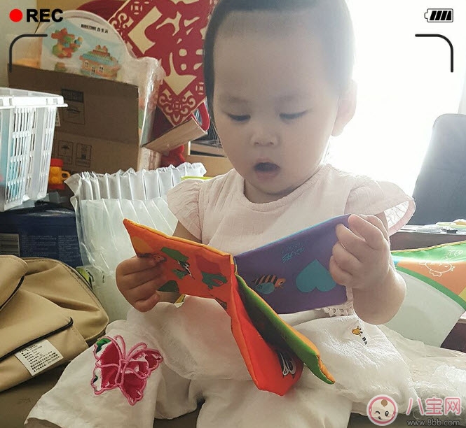 費(fèi)雪布書好嗎 費(fèi)雪布書中文英文對(duì)照寶寶喜歡看嗎(寶媽費(fèi)雪布書測(cè)評(píng)) 費(fèi)雪布書好嗎 費(fèi)雪布書中文英文對(duì)照寶寶喜歡看嗎(寶媽費(fèi)雪布書測(cè)評(píng))