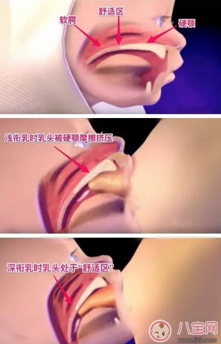 怎么進行后躺式哺乳 最舒服的哺乳方式怎么做好