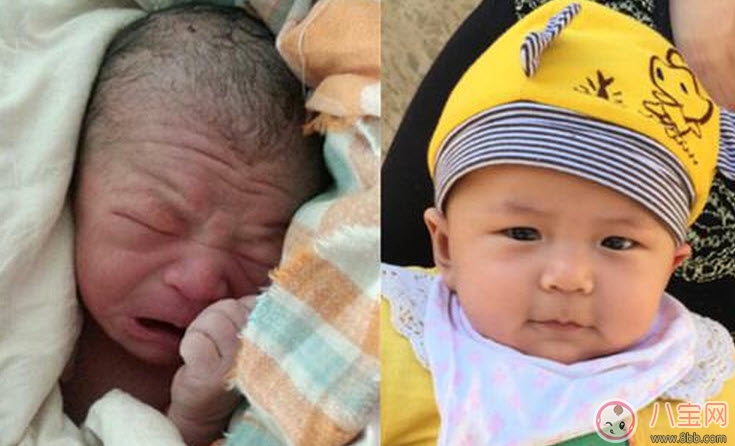 小孩剛出生怎么這么丑 有一出生就很漂亮的寶寶嗎 小孩剛出生怎么這么丑 有一出生就很漂亮的寶寶嗎