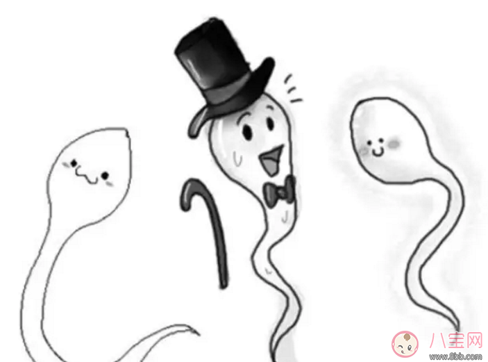 男性精子畸形不液化的原因什么 精子液化不良癥狀表現 男性精子畸形不液化的原因什么 精子液化不良癥狀表現