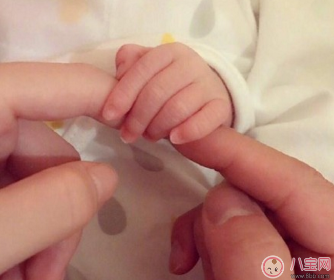 郭富城方媛生的男孩還是女孩 兒子還是女兒