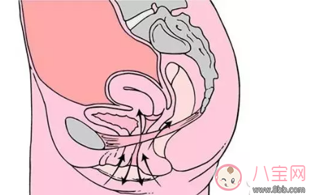 老公覺得你松了怎么辦 怎么讓那個(gè)地方緊起來