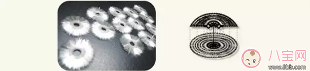 孩子不喜歡刷牙怎么辦 孩子喜歡刷的寶兒滋牙刷360乳牙牙刷推薦