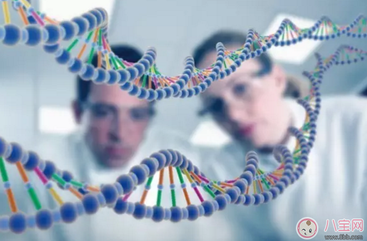 李欣蕊得了什么病 了不起的孩子萌娃李欣蕊腎病綜合征能治好嗎 李欣蕊得了什么病 了不起的孩子萌娃李欣蕊腎病綜合征能治好嗎