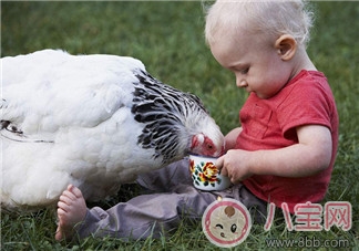 養寵物能提高寶寶成績嗎 如何通過性格為寶寶挑選寵物 養寵物能提高寶寶成績嗎 如何通過性格為寶寶挑選寵物