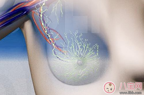 男性會(huì)不會(huì)得乳腺癌 男性乳頭有硬塊是乳腺癌嗎