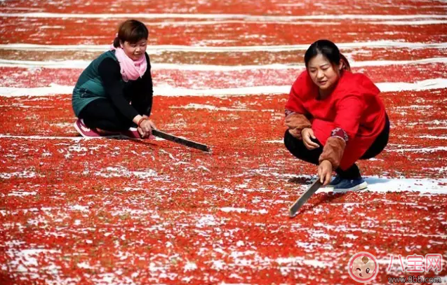 枸杞怎么吃最補(bǔ)腎 枸杞最佳養(yǎng)生飲食方法
