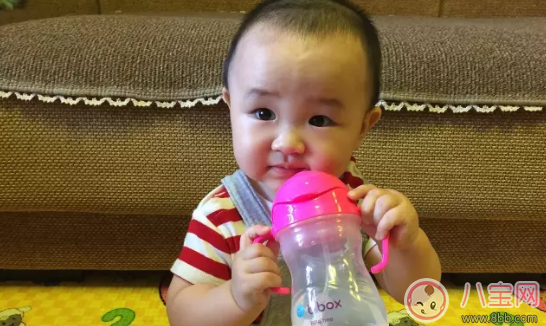 bbox水杯好用嗎 bbox水杯寶寶用怎么樣 bbox水杯好用嗎 bbox水杯寶寶用怎么樣