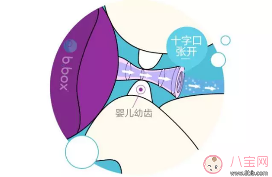 bbox水杯好用嗎 bbox水杯寶寶用怎么樣 bbox水杯好用嗎 bbox水杯寶寶用怎么樣