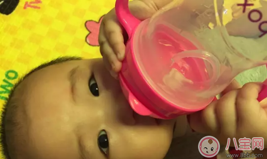 bbox水杯好用嗎 bbox水杯寶寶用怎么樣 bbox水杯好用嗎 bbox水杯寶寶用怎么樣