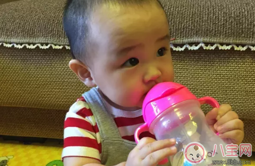 bbox水杯好用嗎 bbox水杯寶寶用怎么樣 bbox水杯好用嗎 bbox水杯寶寶用怎么樣