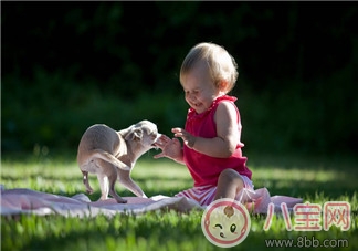 寶寶寵物過敏怎么辦 快速擺脫過敏的方法有哪些
