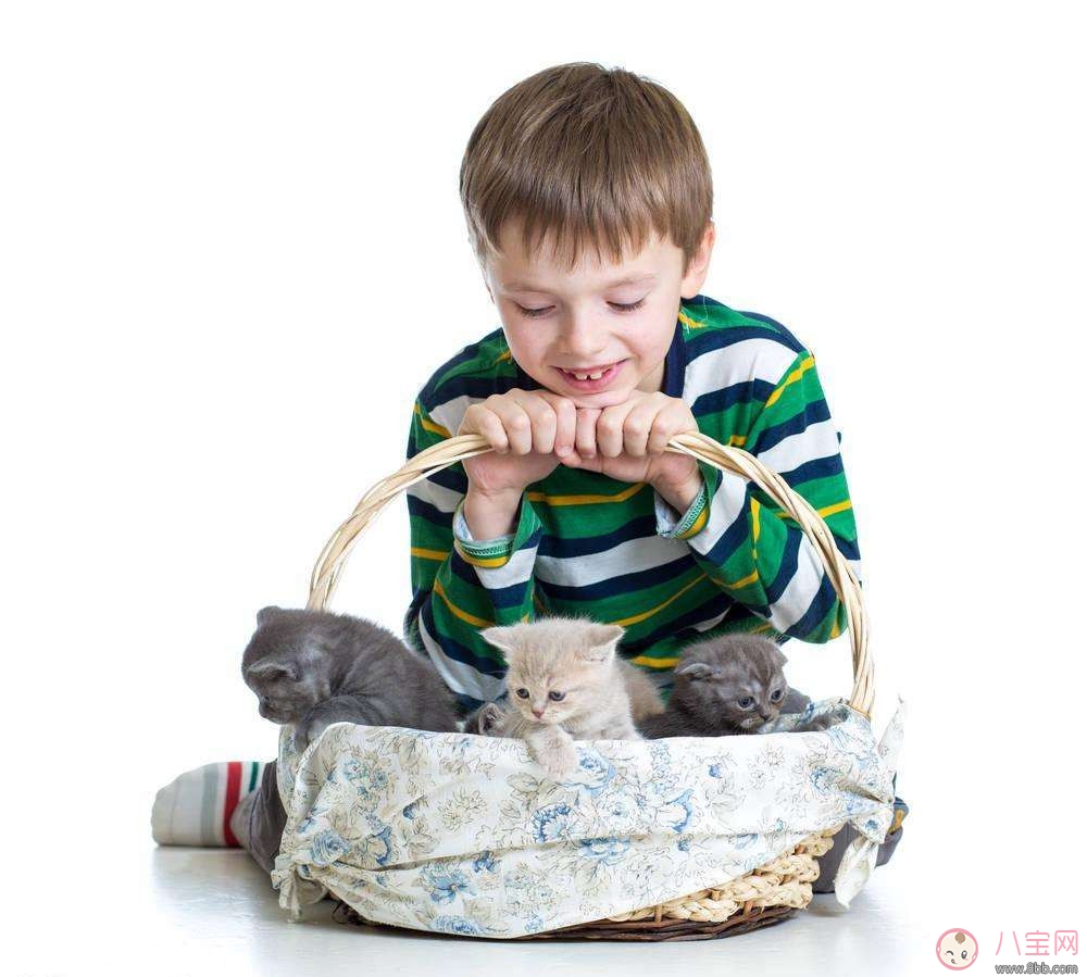 寶寶寵物過敏怎么辦 快速擺脫過敏的方法有哪些