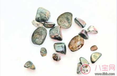 花甲結石是什么 花甲結石和普通結石有什么區別 花甲結石是什么 花甲結石和普通結石有什么區別