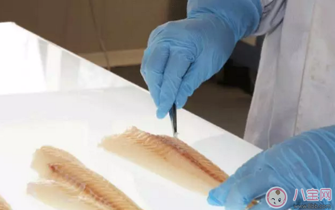 大希地深海DHA鱈魚酥挑食寶寶吃怎么樣 做輔食和當(dāng)零食寶寶愛吃嗎