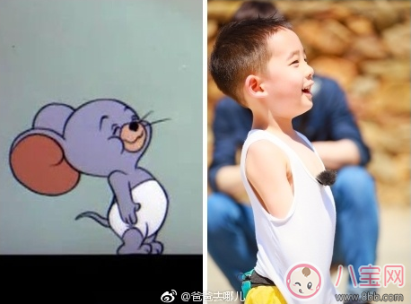 從爸爸去哪兒能看出的育兒經 明星爸爸是怎么育兒的 從爸爸去哪兒能看出的育兒經 明星爸爸是怎么育兒的