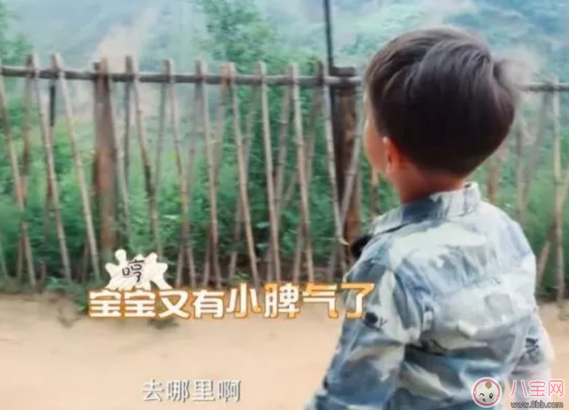 劉畊宏為什么要把吳尊送的T恤給嗯哼 Jasper摔倒了嗯哼如何安慰的 劉畊宏為什么要把吳尊送的T恤給嗯哼 Jasper摔倒了嗯哼如何安慰的