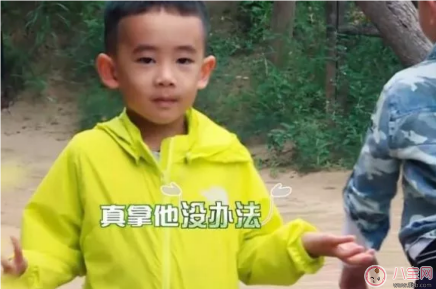 劉畊宏為什么要把吳尊送的T恤給嗯哼 Jasper摔倒了嗯哼如何安慰的 劉畊宏為什么要把吳尊送的T恤給嗯哼 Jasper摔倒了嗯哼如何安慰的