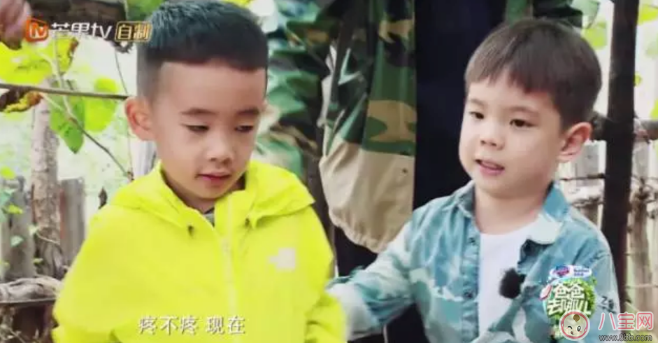 劉畊宏為什么要把吳尊送的T恤給嗯哼 Jasper摔倒了嗯哼如何安慰的 劉畊宏為什么要把吳尊送的T恤給嗯哼 Jasper摔倒了嗯哼如何安慰的