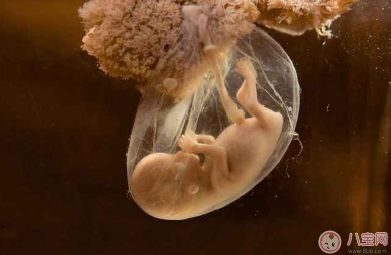 為什么說寶寶是一把屎一把尿養大的 孩子真的是一泡屎一泡尿養大嗎 為什么說寶寶是一把屎一把尿養大的 孩子真的是一泡屎一泡尿養大嗎