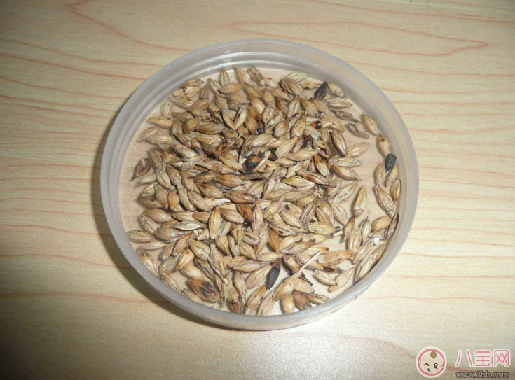 有沒有特殊的馬上回奶的食物 什么食物回奶最快 有沒有特殊的馬上回奶的食物 什么食物回奶最快